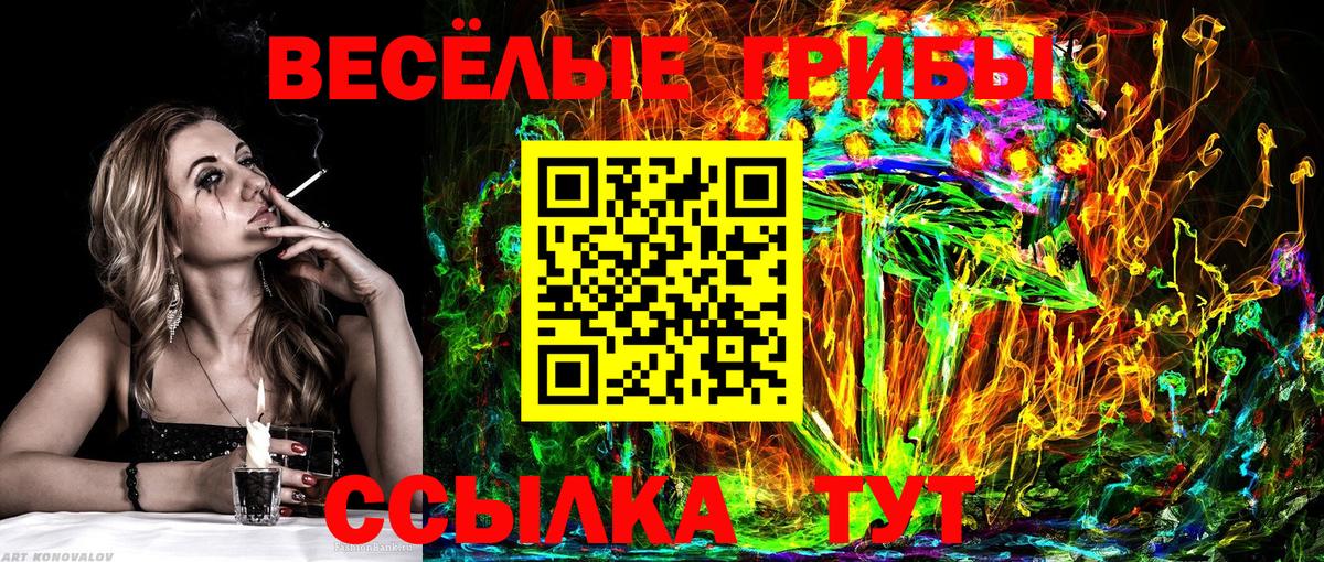 Псилоцибиновые грибы Psilocybe Ревда